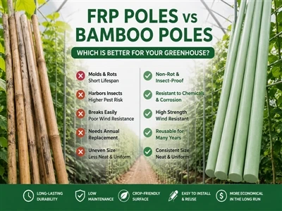 Tärkeä opas viljelijöille – FRP Poles Vs. Bambutangot: mikä valita?
